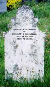 Bridget