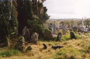 Clonmult